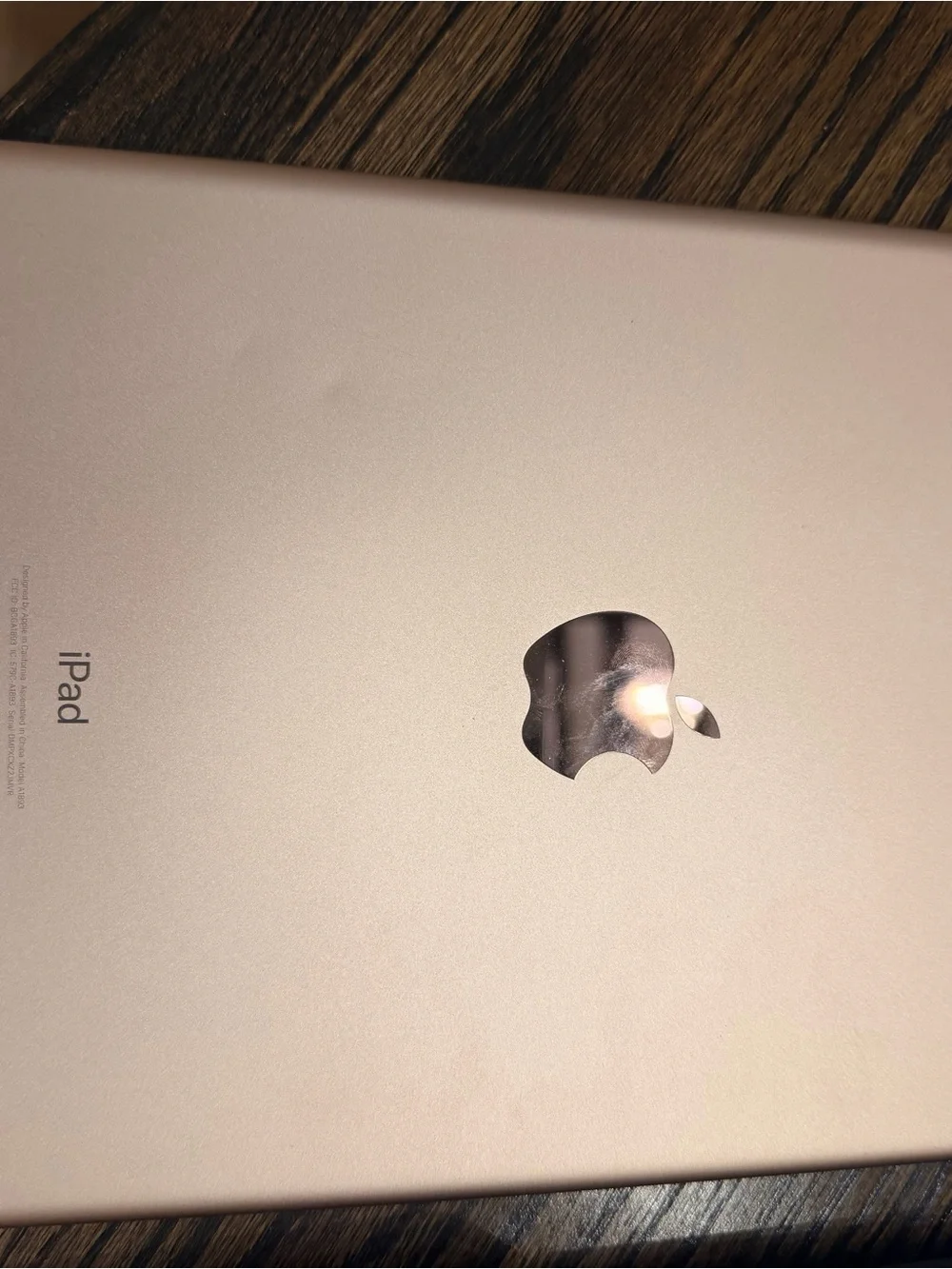 Apple iPad in White and rose gold back
